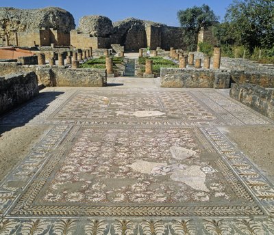 Ansicht der Ruinen und eines Mosaikbodens von Roman